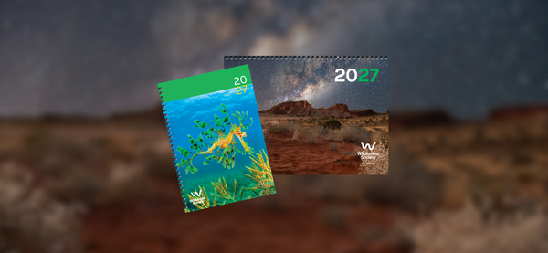 2027 Wilderness Calendar and Diary