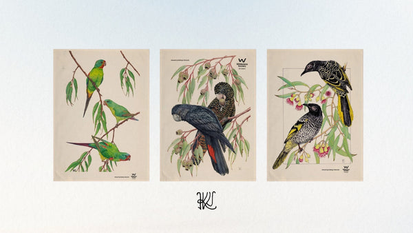 Birdlife tea towels and t-shirts