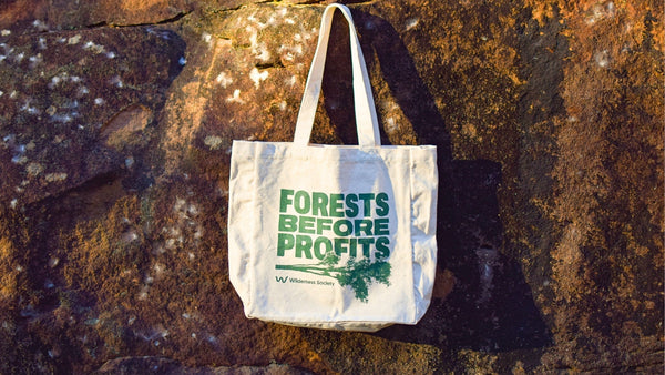 Eco-friendly accessories