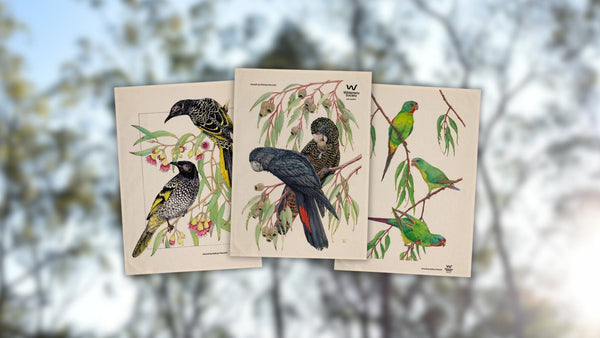 Nature-inspired tea towels
