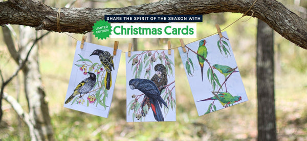 Christmas Cards