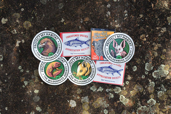 Nature stickers
