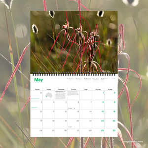 2027 Wilderness calendar
