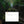 2026 Wilderness Calendar [50th anniversary edition]
