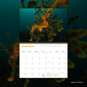 2026 Wilderness Calendar [50th anniversary edition]
