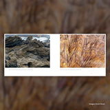 Spero-Wanderer Wilderness Book