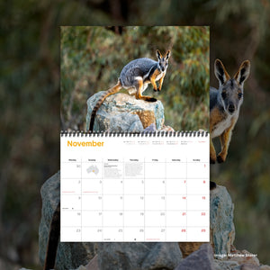 2026 Wilderness Calendar [50th anniversary edition]