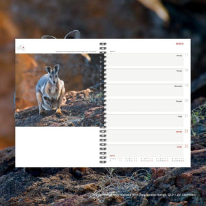 2025 Wilderness Diary