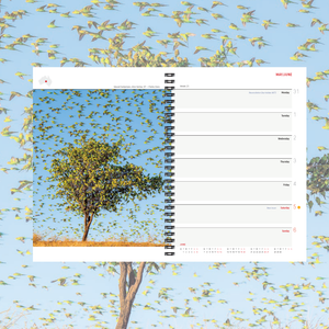 2027 Wilderness diary