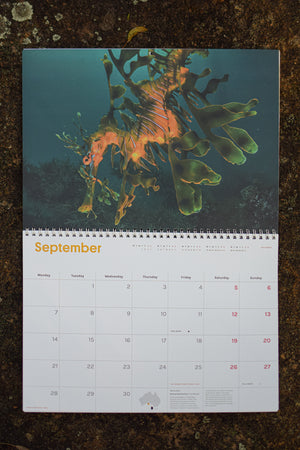 2026 Wilderness Calendar [50th anniversary edition]