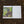 2026 Wilderness Diary [50th anniversary edition]