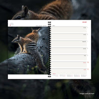 2026 Wilderness Diary [50th anniversary edition]