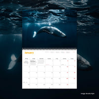 PREORDER: 2026 Wilderness Calendar [50th anniversary edition]