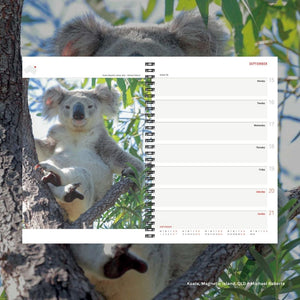 2025 Wilderness Diary