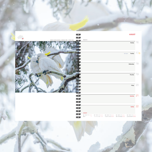 2027 Wilderness diary