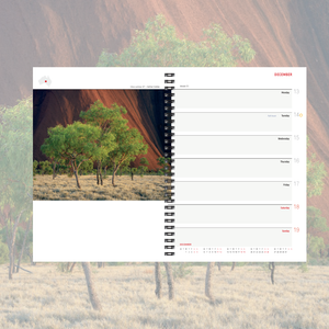 2027 Wilderness diary