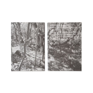 Wilderness Journal: Stories of nature and people, Volume two