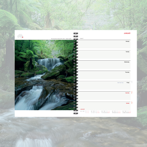 2027 Wilderness diary