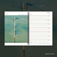 2026 Wilderness Diary [50th anniversary edition]