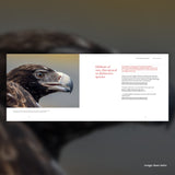 Spero-Wanderer Wilderness Book