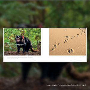Spero-Wanderer Wilderness Book