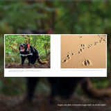 Spero-Wanderer Wilderness Book