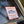 Australian Grayling ‘Threatened Species Appreciation Society’ Sticker