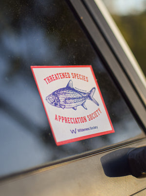 Australian Grayling ‘Threatened Species Appreciation Society’ Sticker