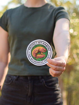 Protect My Habitat Wildlife Sticker Pack (4 Stickers)