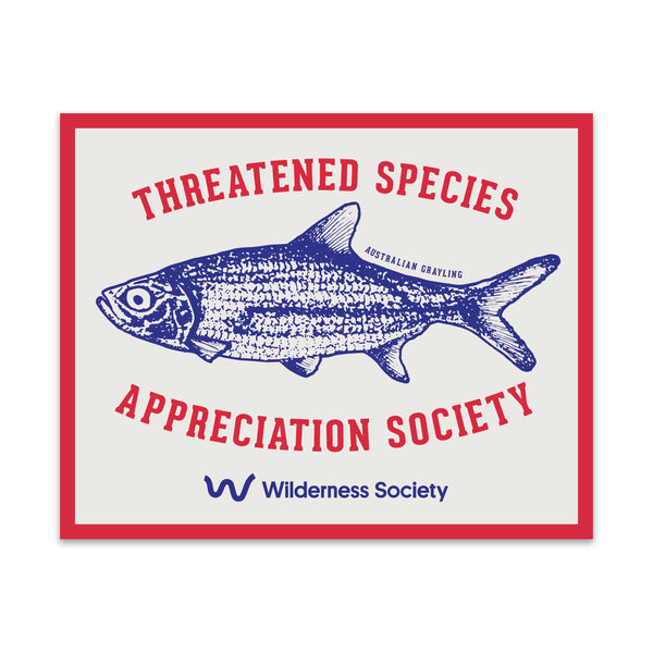 Australian Grayling ‘Threatened Species Appreciation Society’ Sticker