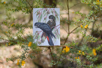 Australian Birdlife Christmas Cards