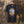 Carnaby’s Black Cockatoo Black Organic T-Shirt