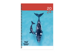 2024 Wilderness diary [pre-order]