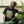 Eye on Country Unisex Black Organic T-Shirt