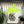 Eye on Country Organic Tote Bag