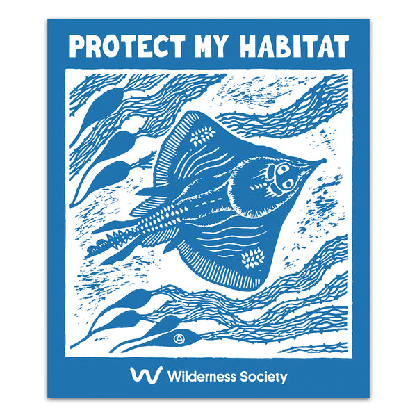 Pre-order Maugean skate blue sticker