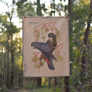 Forest Red-Tailed Black Cockatoo Tea Towel