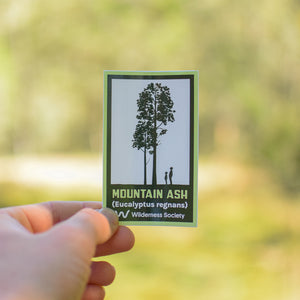 Mountain ash sticker