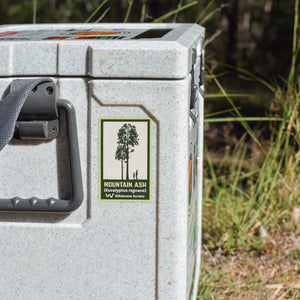 Mountain ash sticker