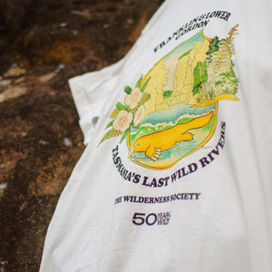 Franklin logo natural organic t-shirt