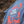 Team Nature blue organic t-shirt