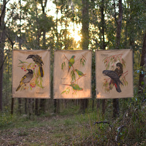 Illustrated Birdlife Tea Towel Set (3 Pack)