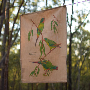 Illustrated Birdlife Tea Towel Set (3 Pack)