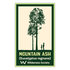 Mountain ash sticker