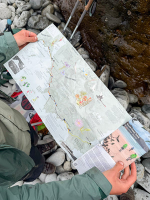 South Coast Track Wilderness Journal