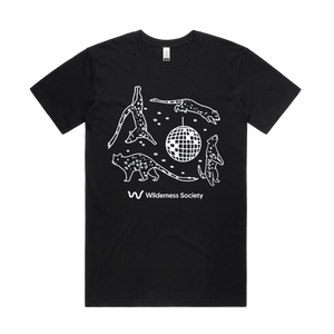 Night Sky (Glow in the Dark) Black Organic T-shirt
