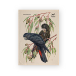 Forest Red-Tailed Black Cockatoo Tea Towel