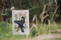 Forest Red-Tailed Black Cockatoo Tea Towel