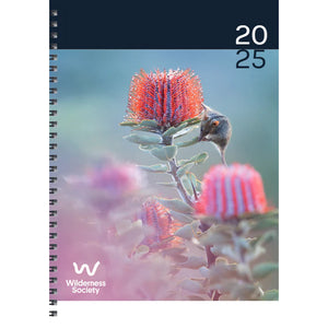 2025 Wilderness Diary