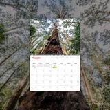 2025 Wilderness Calendar